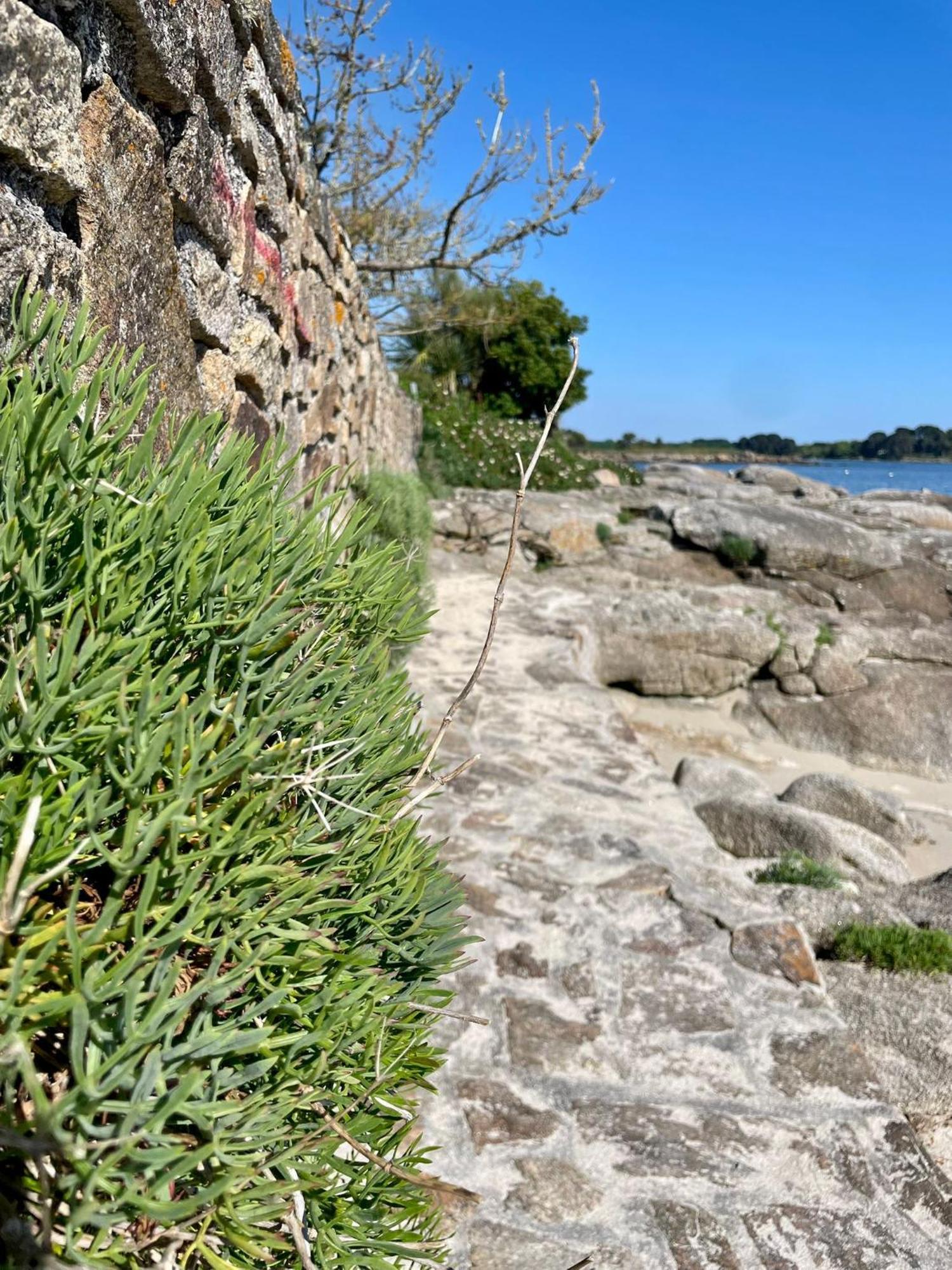 Vakantiehuis 2 Maisons De Sittelles Concarneau
